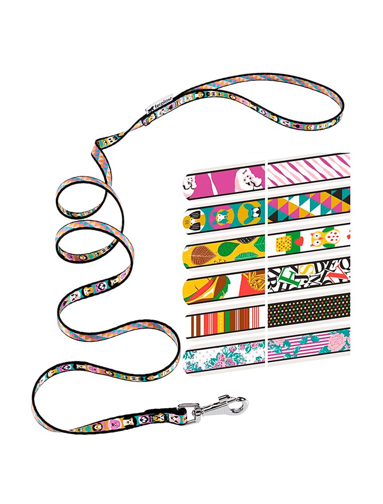 Product image for 15707