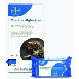 Product image for 11081