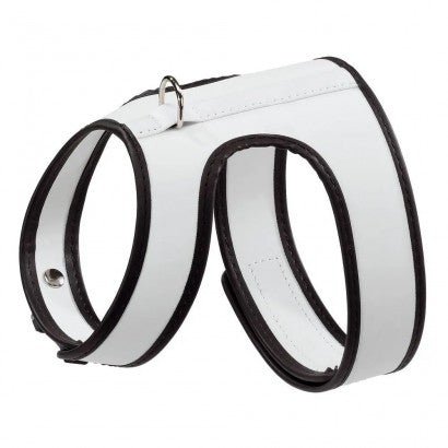 Product image for 17620