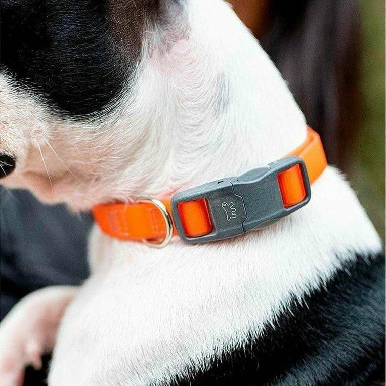 Product image for 15527