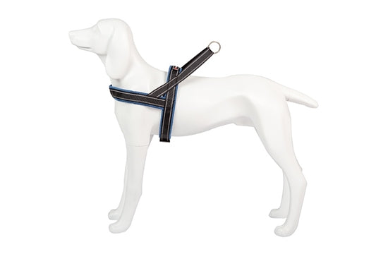 Product image for 16148