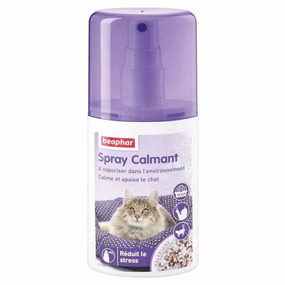 Product image for 10056