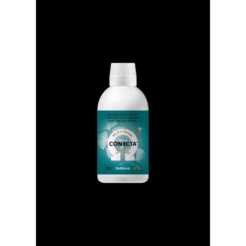 Product image for 11323