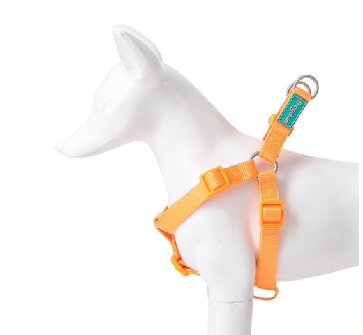 Product image for 16065