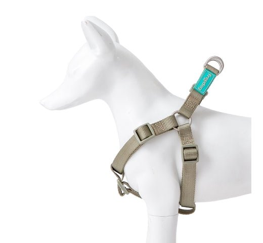 Product image for 16179