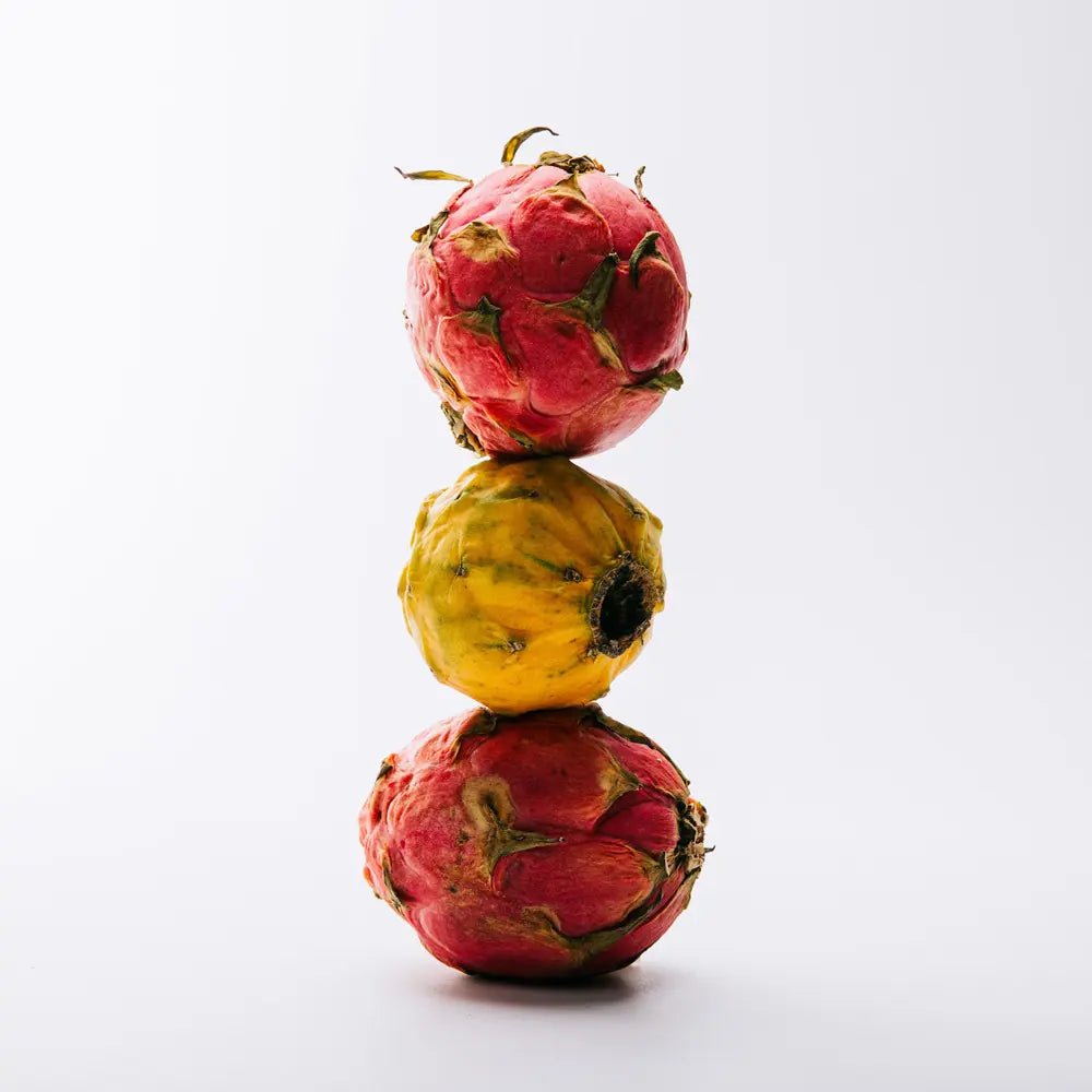 Loewe Solo Ella Eau De Toilette Vaporizador 100 ml