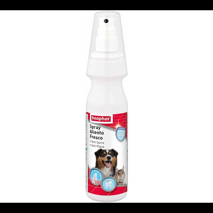 Product image for 9234