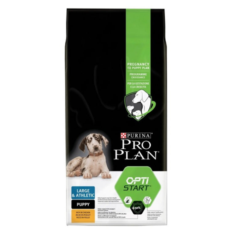 Product image for 11748