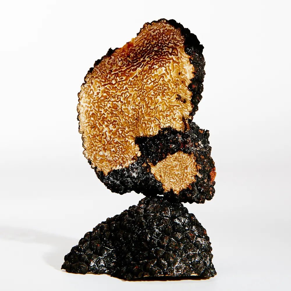 Loewe Earth Eau De Parfum Vaporizador 50 ml