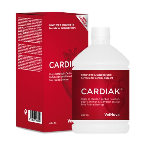 Product image for 10304