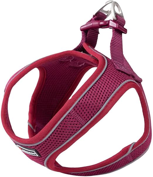 Product image for 16436