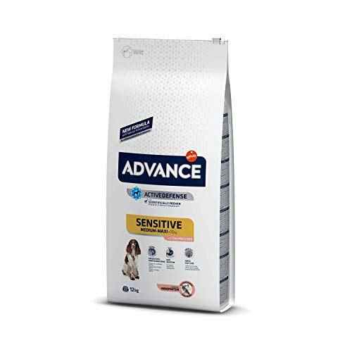 Product image for 9585