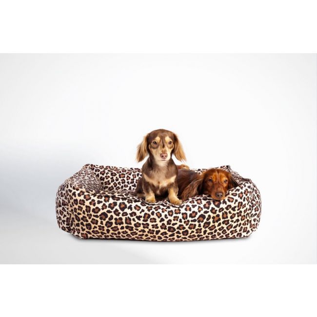 Product image for 11364