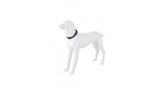Product image for 16247