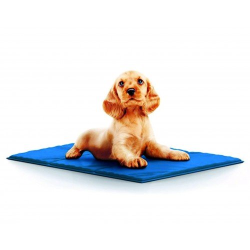 Product image for 11863