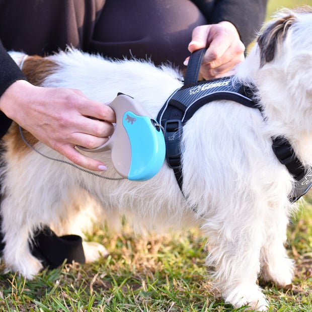 Ferplast Cubierta Cover Amigo Small Lila 1 ud