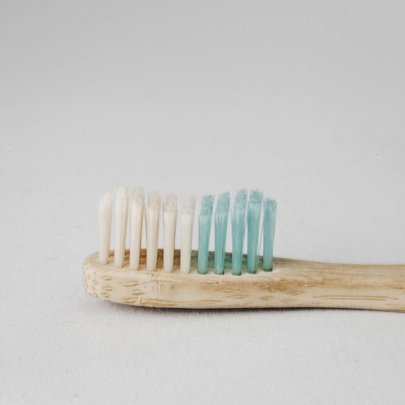 BANBU Cepillo de Dientes de Bambú Medio color Verde-2