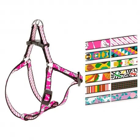 Product image for 15708