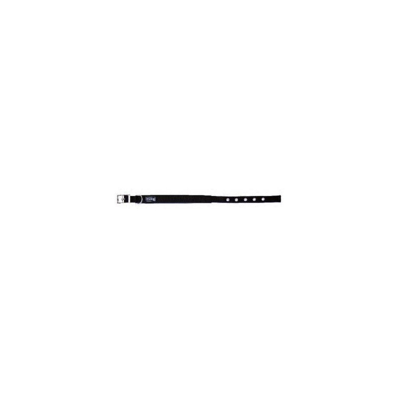 Product image for 16519