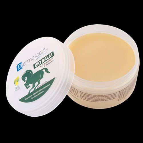 Product image for 13834