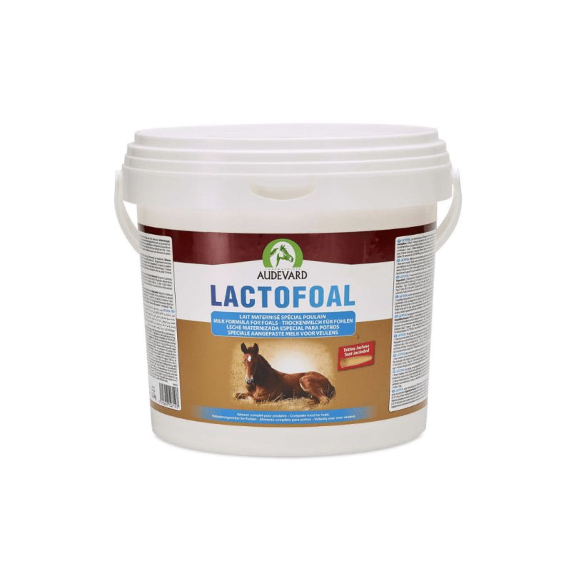 Product image for 11605