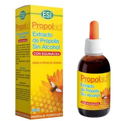 Product image for 12568
