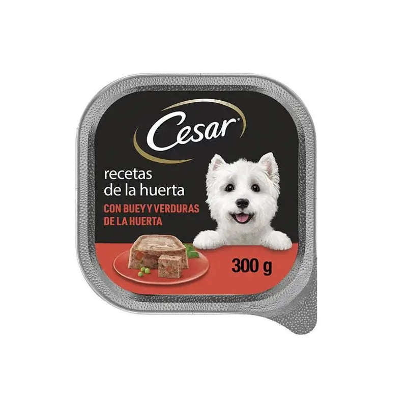 Product image for 13785