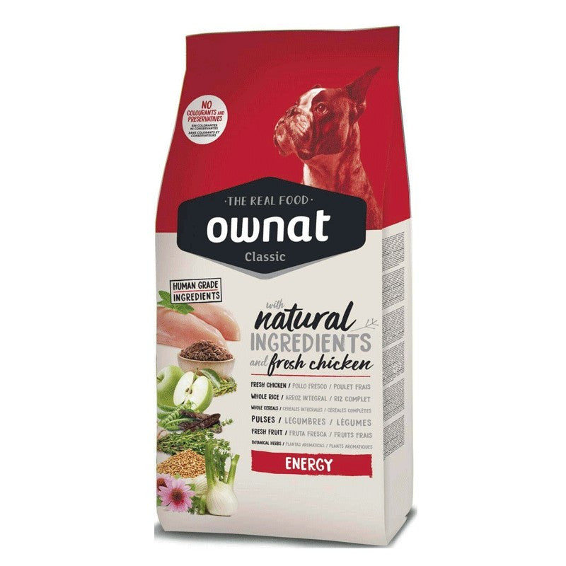 Product image for 9553