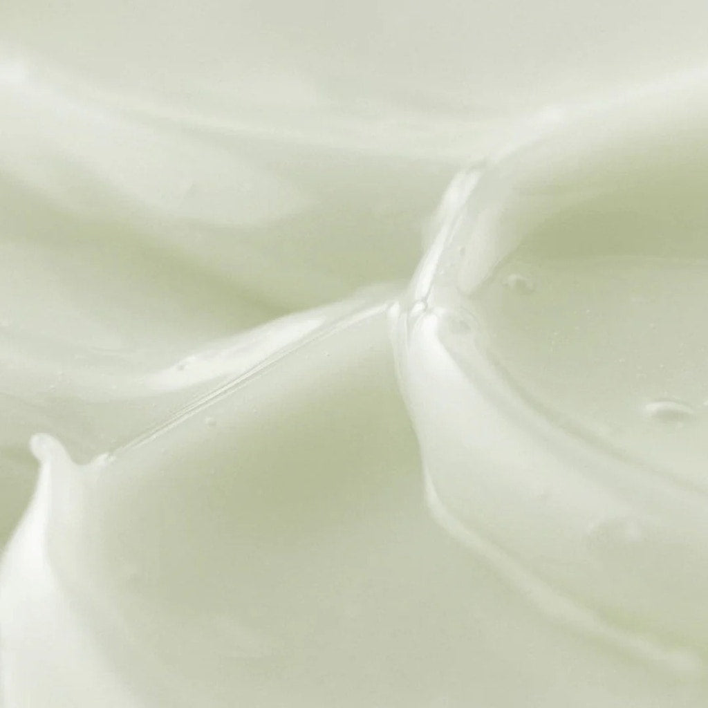 Product image for 19681