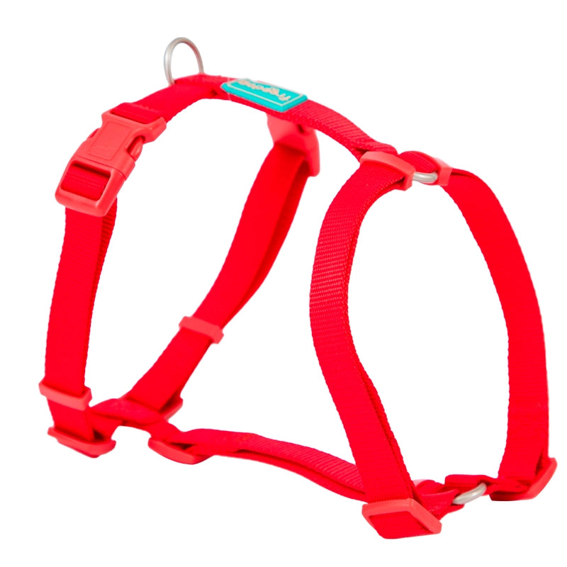 Product image for 11976