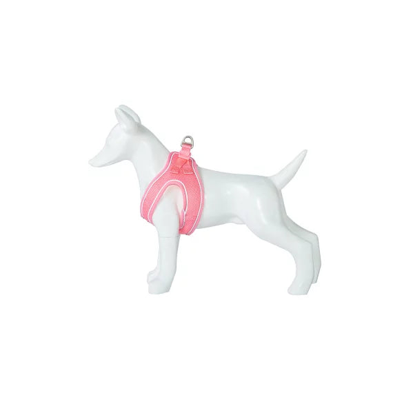 Product image for 11934
