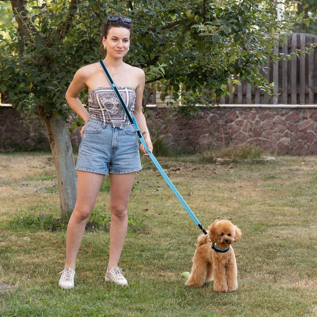 Ferplast Ergofluo Guinzaglio Giallo 200cm, 306g