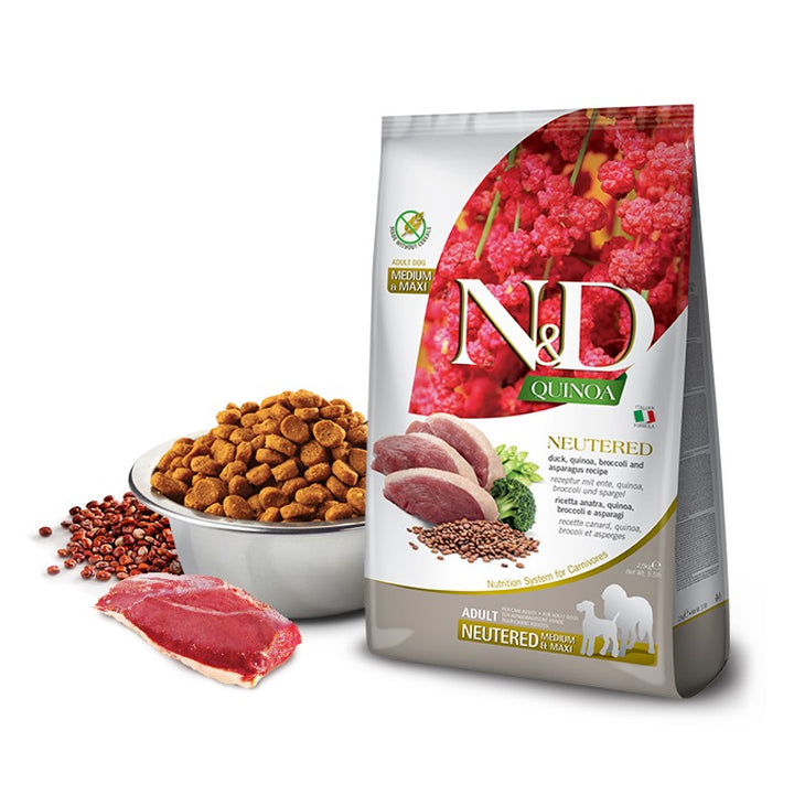 Product image for 13937