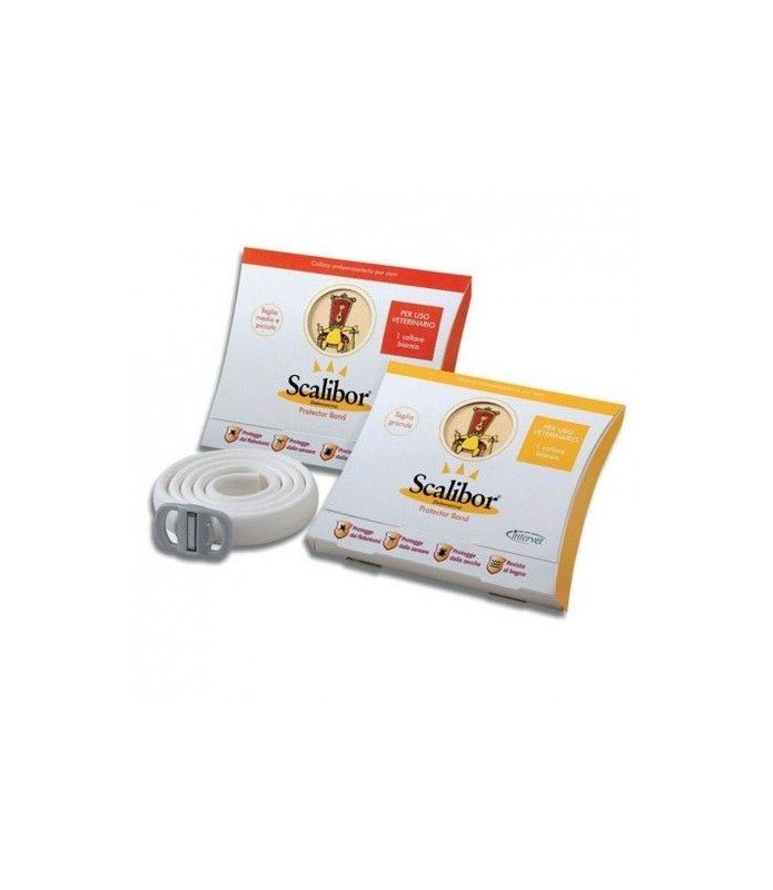 Product image for 19370