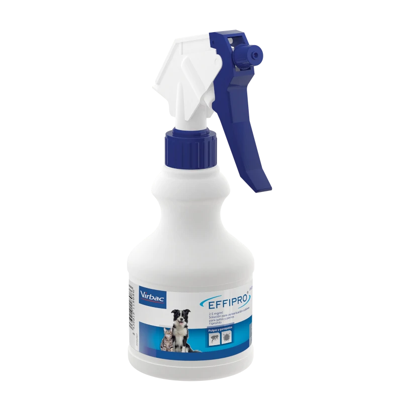 Product image for 19614