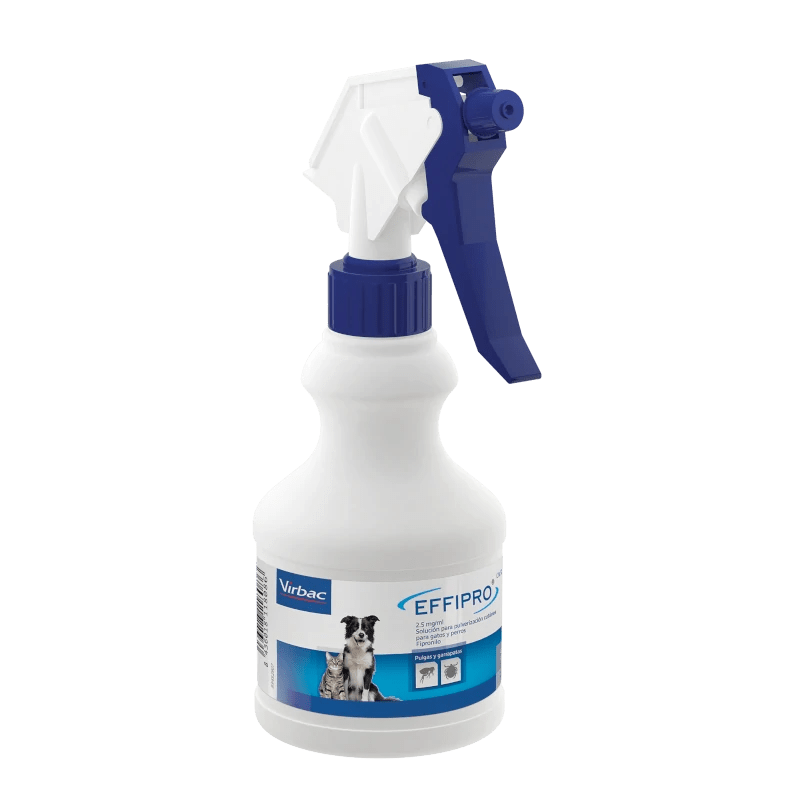 Product image for 19614