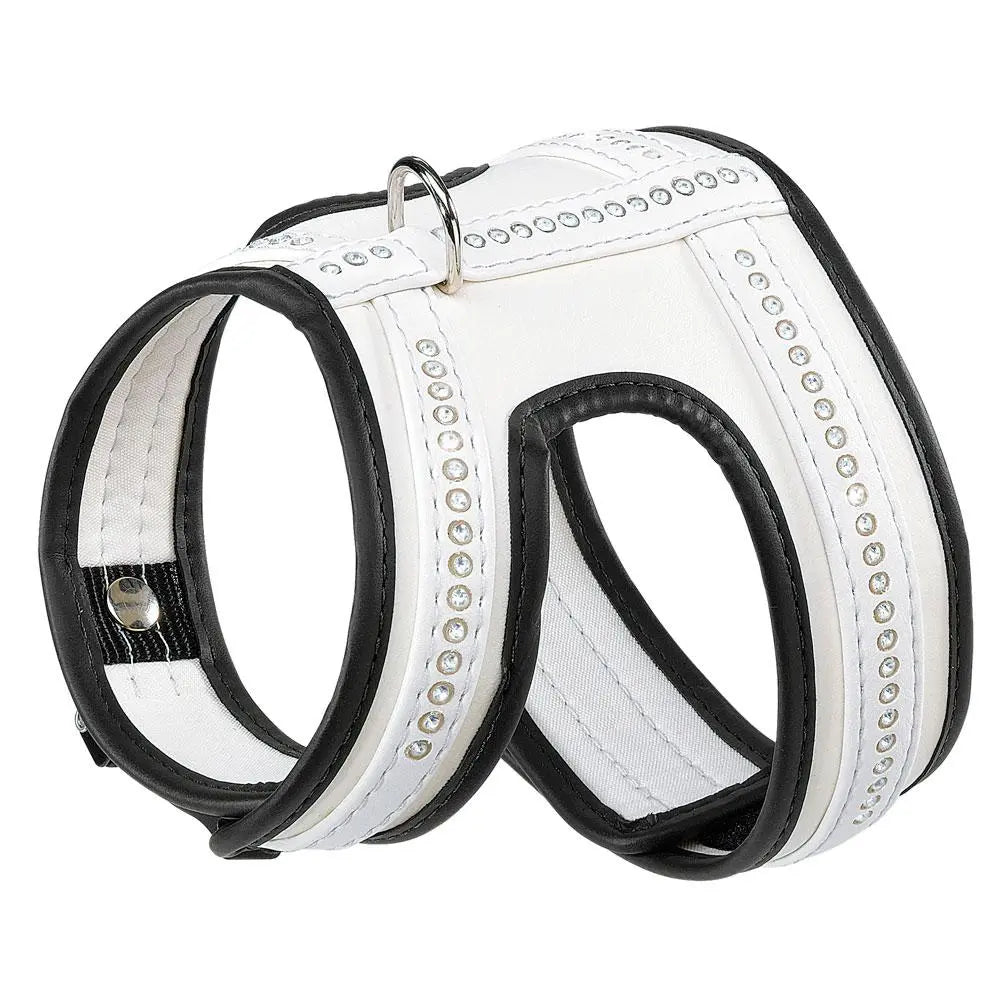 Product image for 15733