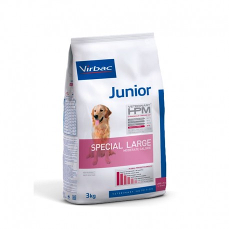 Product image for 17016