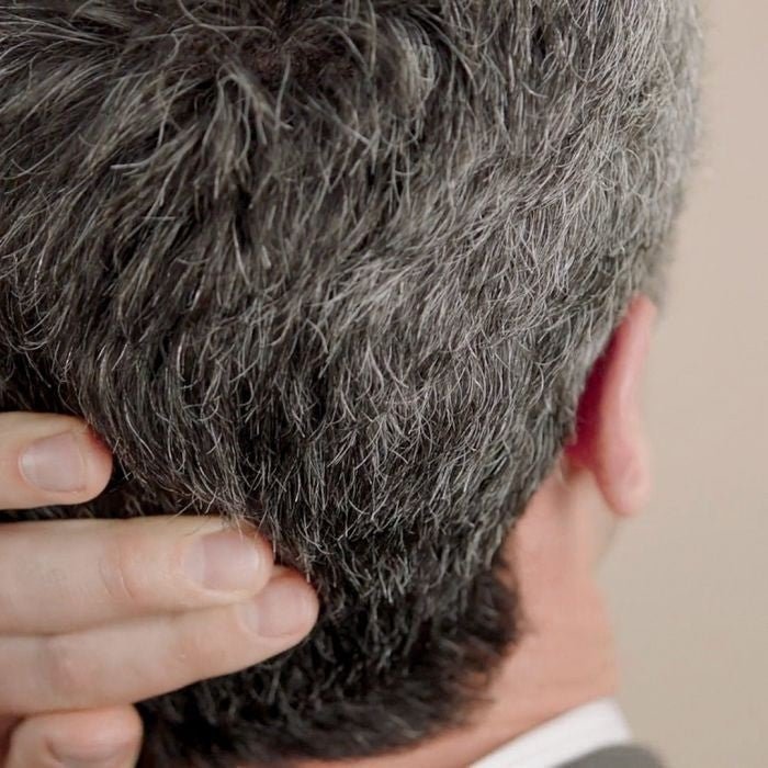 JUST FOR MEN Touch of Grey Moreno-Negro T-55 (40g)-9