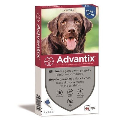 Product image for 19544
