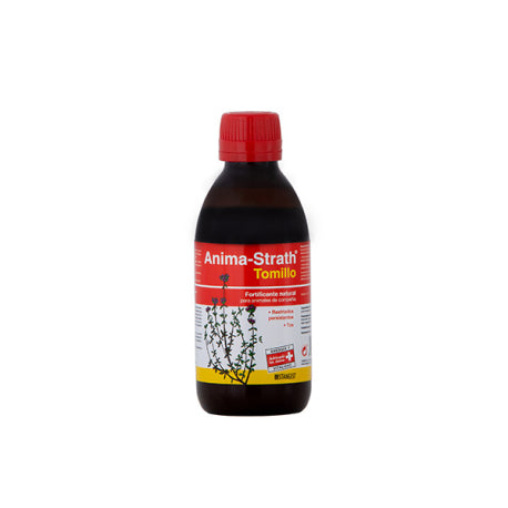 Product image for 10009