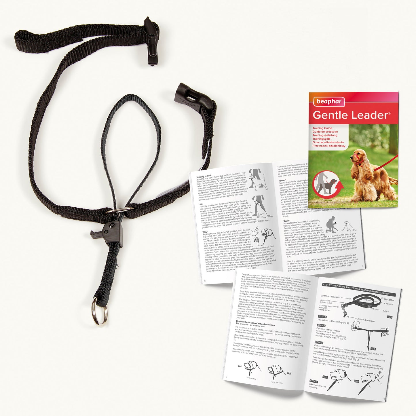 Product image for 11570