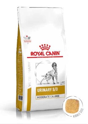 Product image for 16808