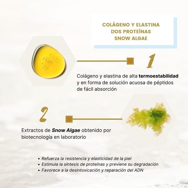 GERMINAL Ampollas Colágeno y Elastina Sérum Antiedad 30 Ampollas-4