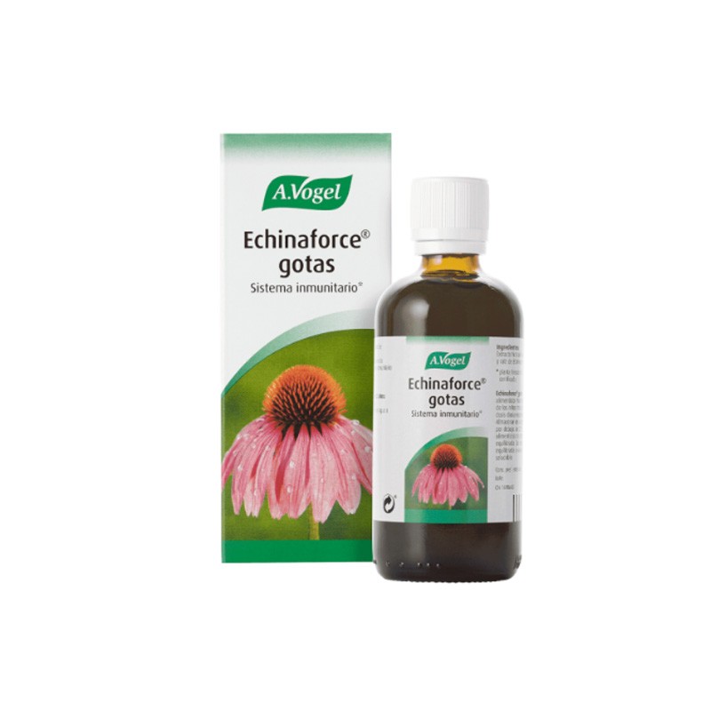 Echinaforce Gotas 100 ml-1