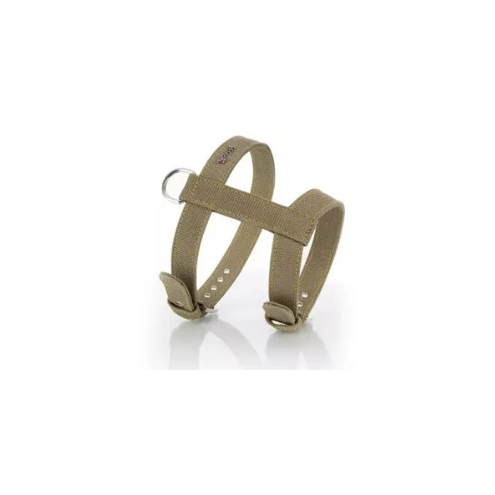 Product image for 17372