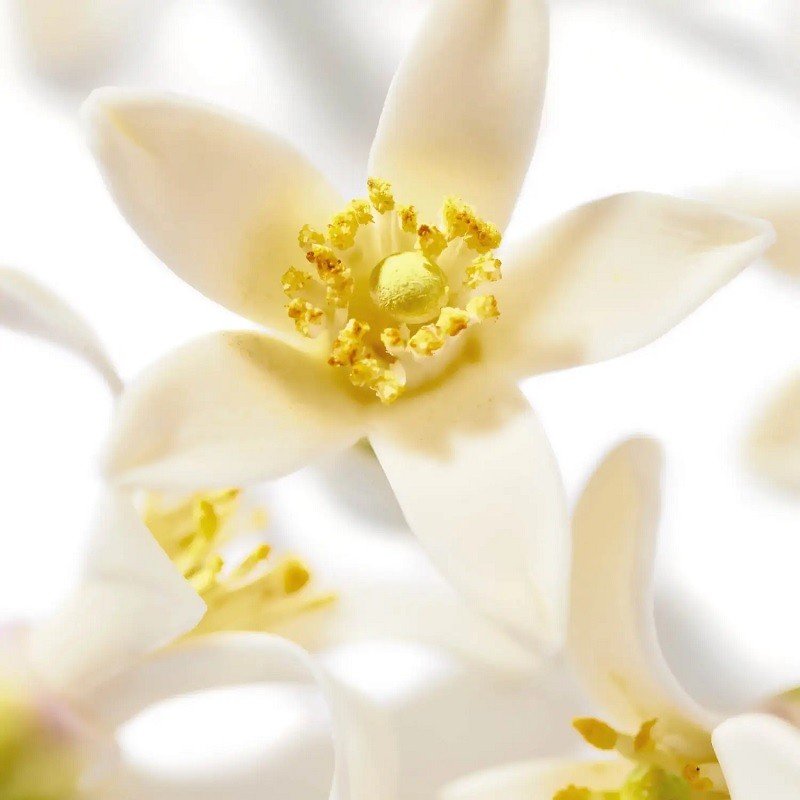 Nuxe Prodigieux Néroli Gel de Ducha 200ml-4