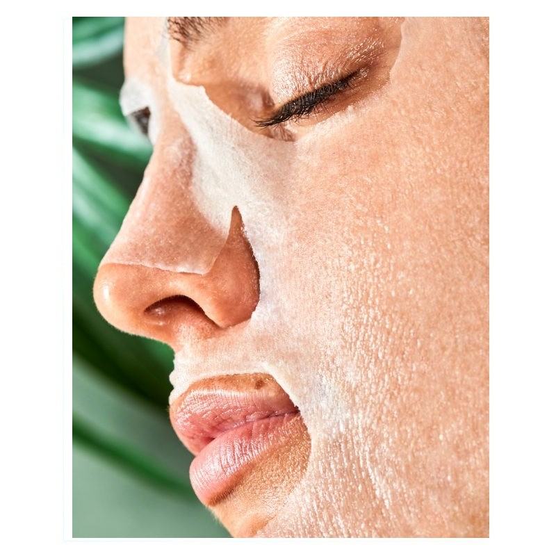 mascarilla-aguacate-2
