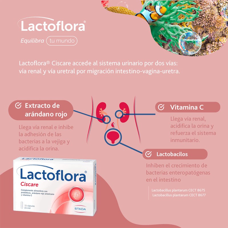 LACTOFLORA Ciscare Protector con Arándanos Molestias Urinarias 15 cápsulas-3