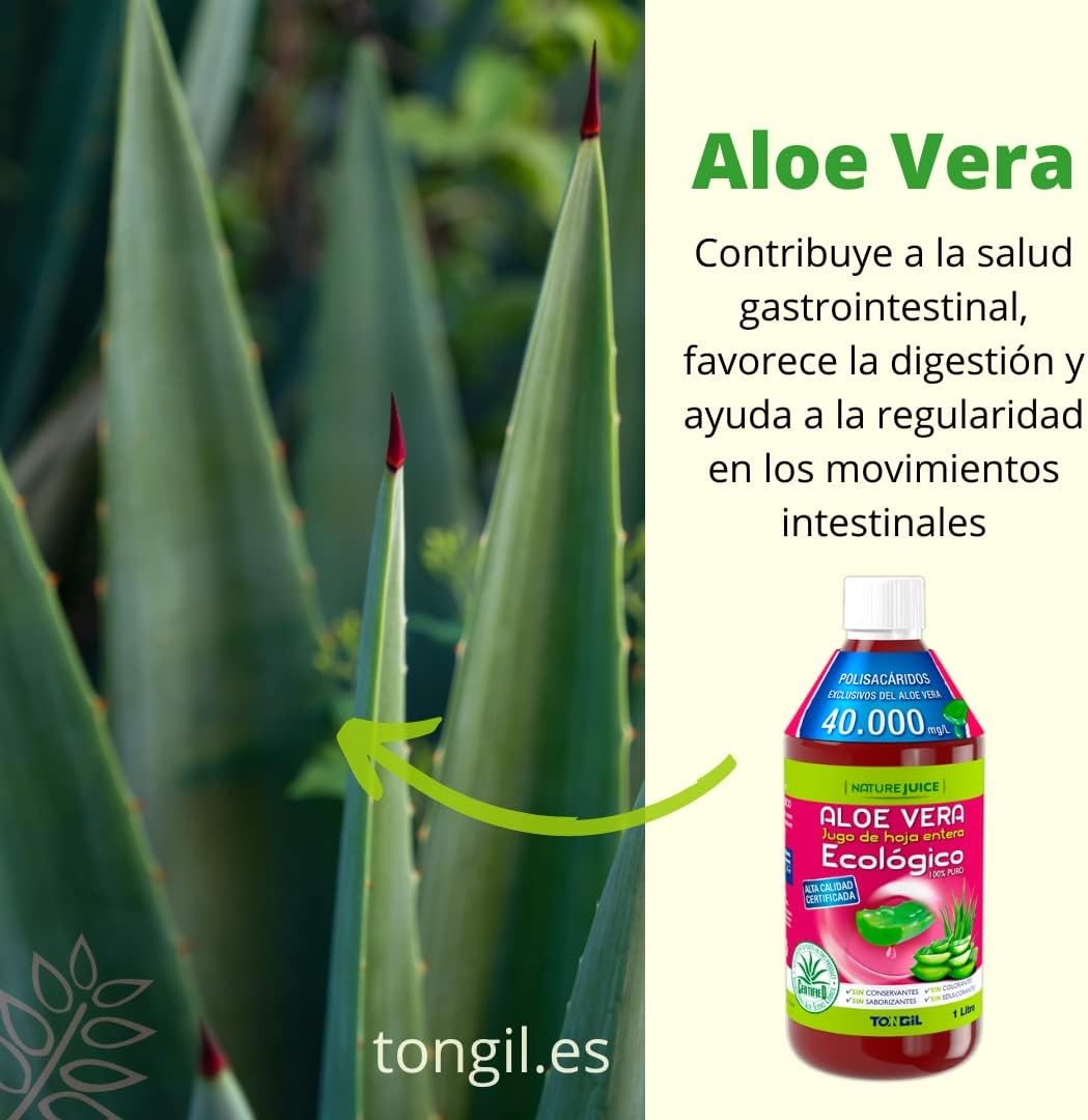 Tongil Aloe Vera Ecologico 100% Puro 1 Litro-5